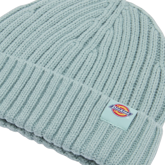 Gorro Dickies Lockwood - Blue Surf