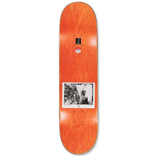 Polar Paul Grund Man With Window Skateboard Deck 8.0"