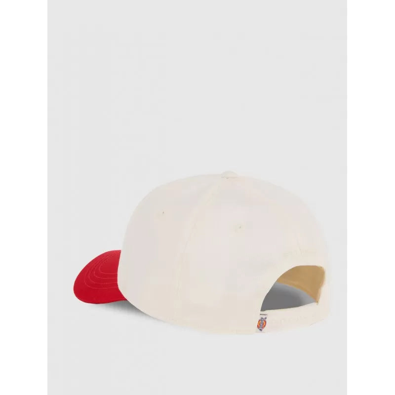 Dickies Hardwick 2 Tone Egret Cap