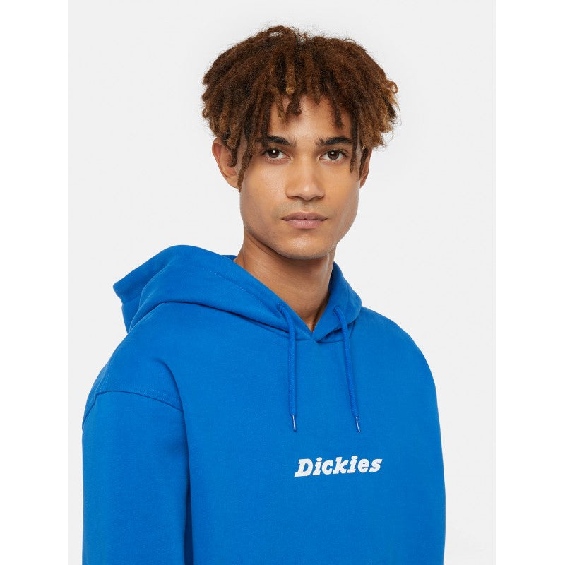 Dickies Enterprise Hoodie Sweatshirt - Turkish Sea