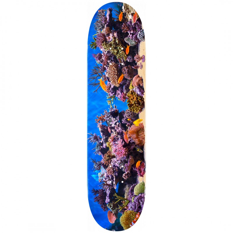 Mini Logo Fish Tank Skateboard Deck 8.0"