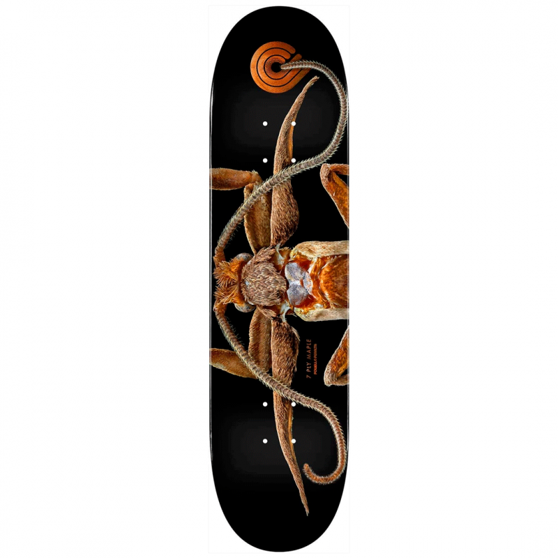 Powell Peralta Biss Marion Moth Skateboard Deck 8.25"