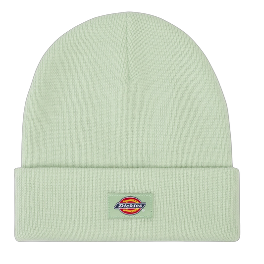 Gorro Dickies Gibsland - Quiet Green