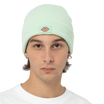 Gorro Dickies Gibsland - Quiet Green