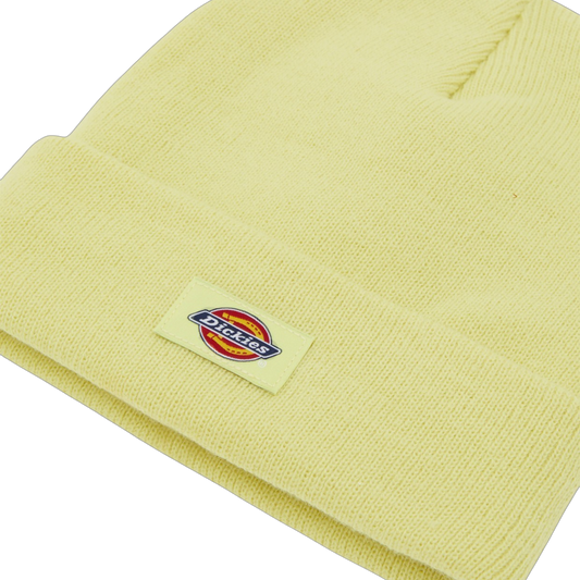 Gorro Dickies Gibsland - Pale Green