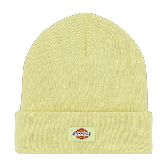 Gorro Dickies Gibsland - Pale Green