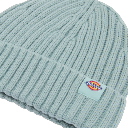 Gorro Dickies Lockwood - Blue Surf