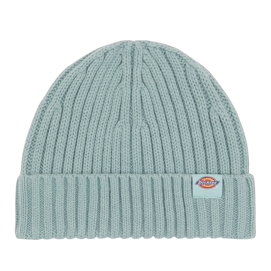 Gorro Dickies Lockwood - Blue Surf