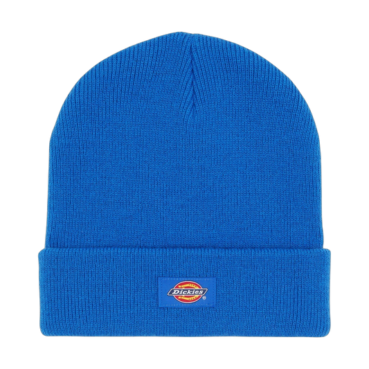 Gorro Dickies Gibsland - Turkish Sea