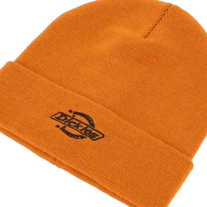 Gorro Dickies Summerdale - Autumn