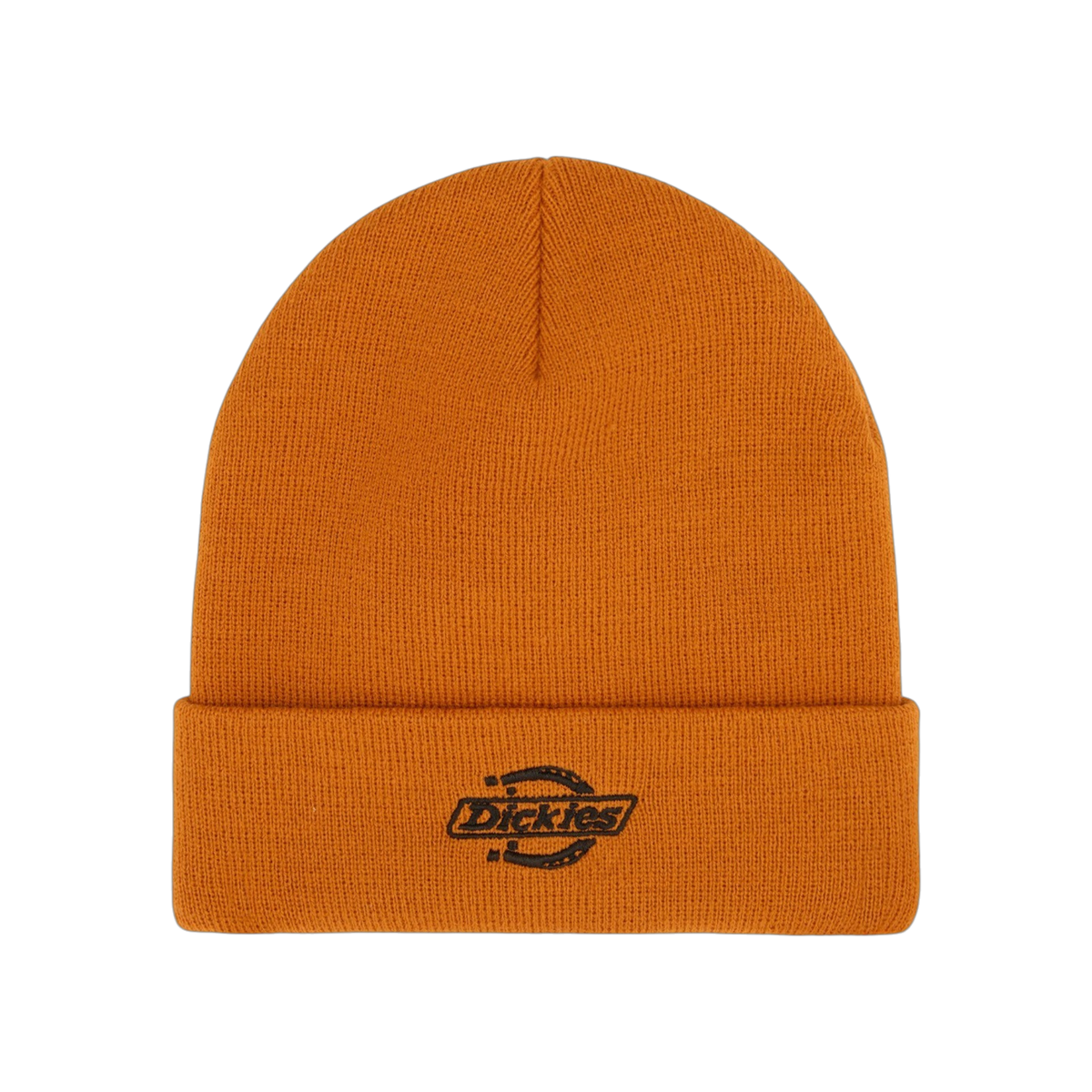 Gorro Dickies Summerdale - Autumn