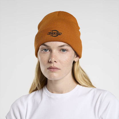 Gorro Dickies Summerdale - Autumn