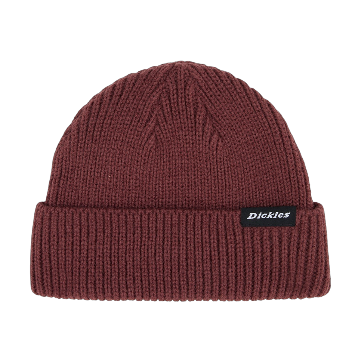Gorro Dickies Woodworth - Andorra