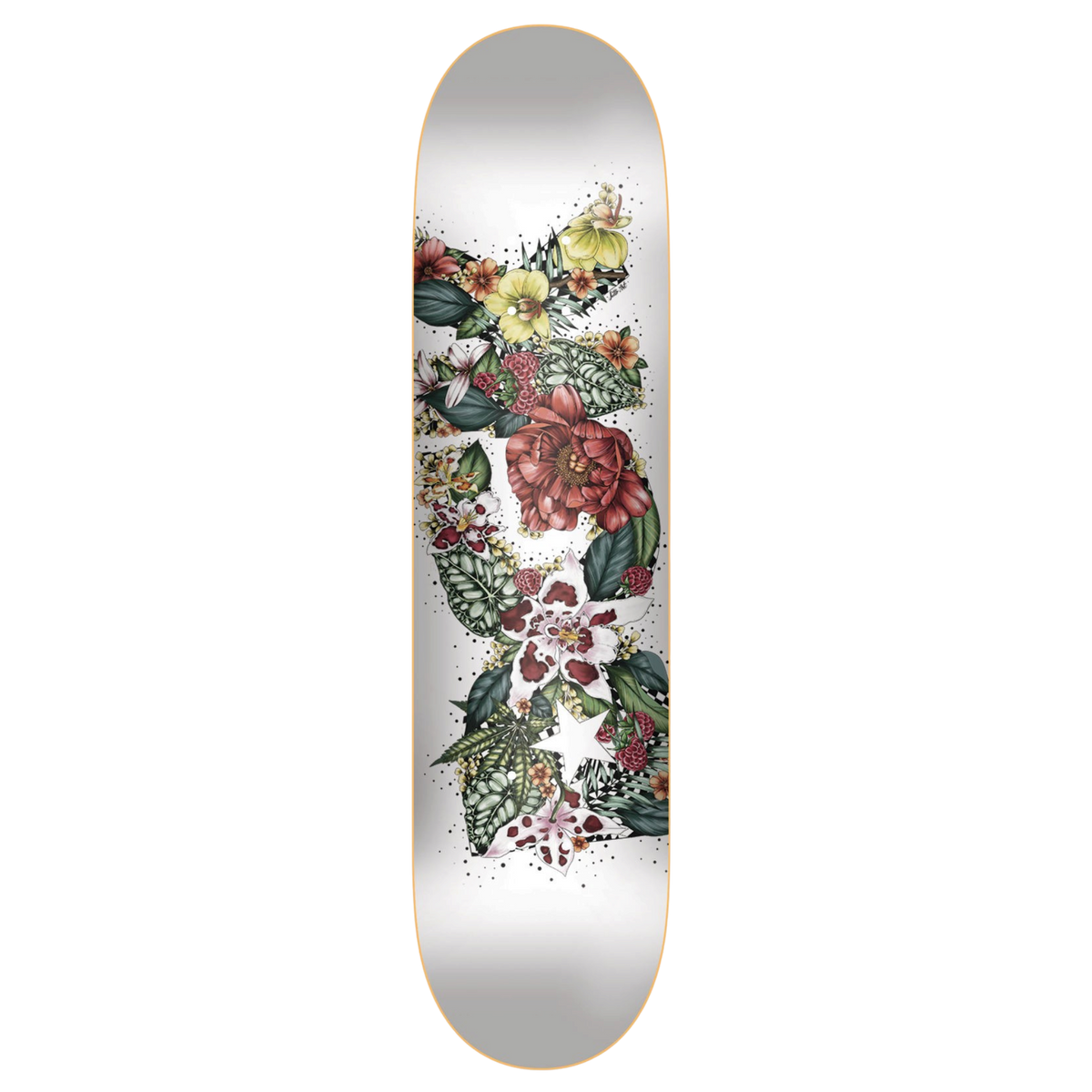 DGK Meadow Skateboard Deck 7.8"