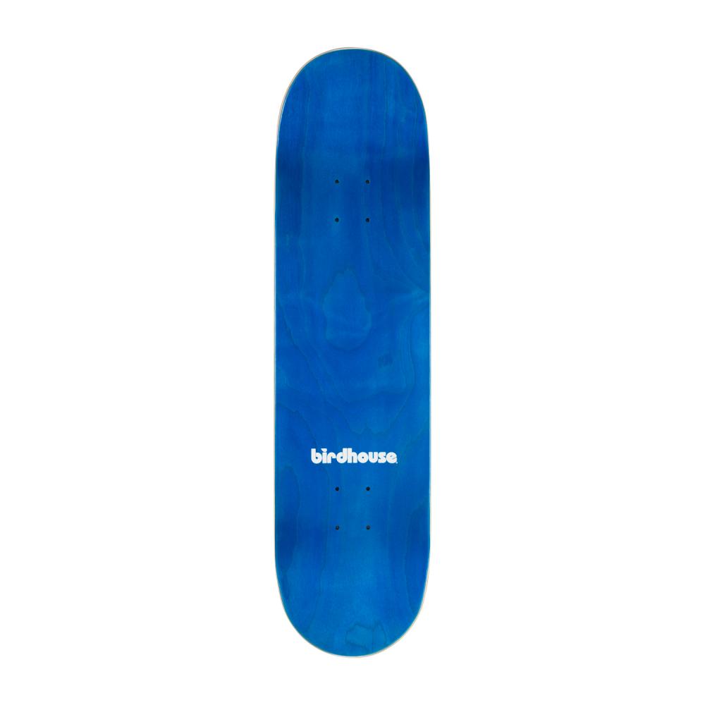 Birdhouse Tom Schaar Hallows Eve Skateboard Deck 8.38"