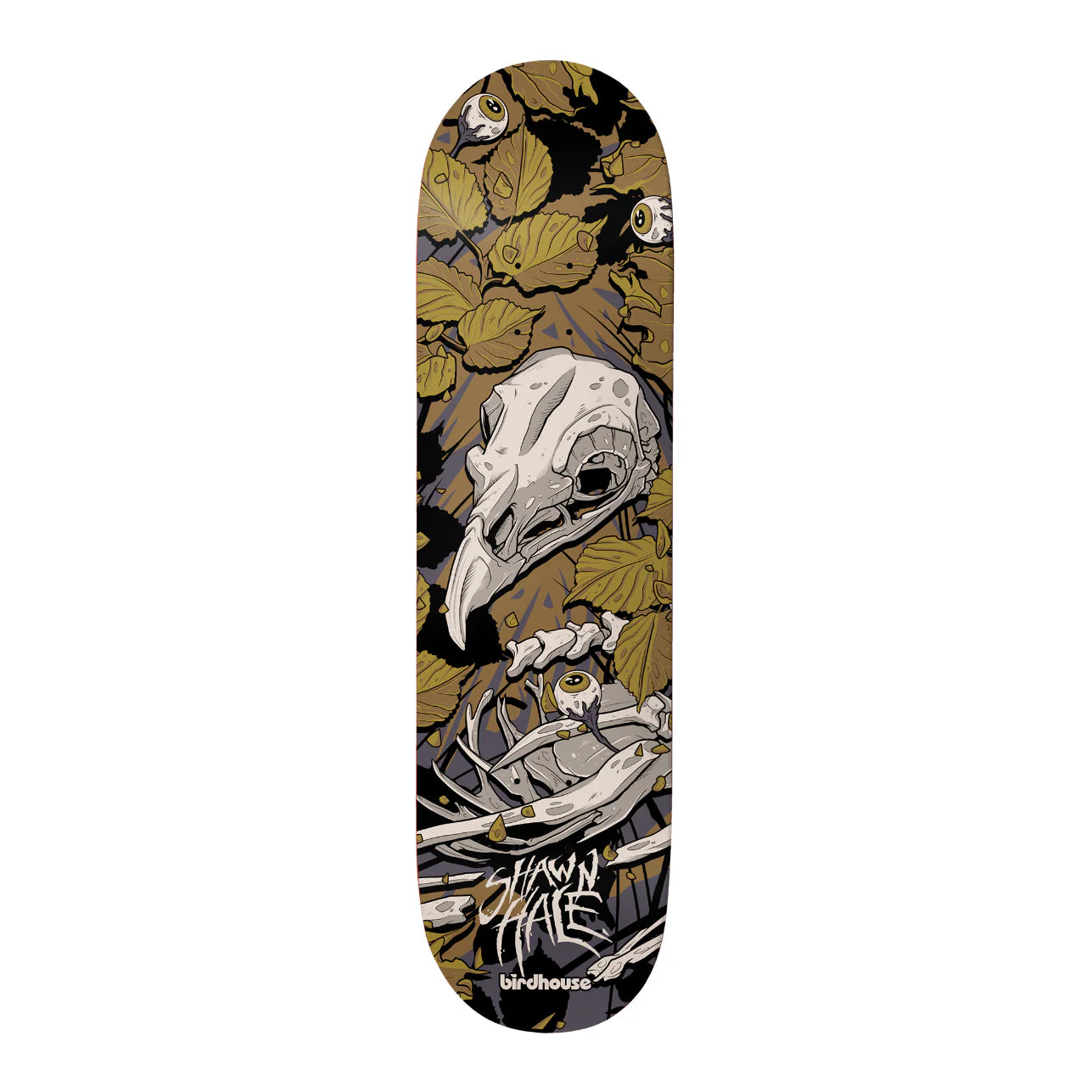 Birdhouse Shawn Hale Tillbrook Skateboard Deck 9.0"