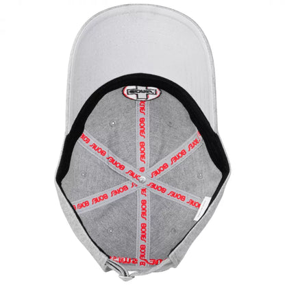 Bones Bearings Dad Cap - Gray