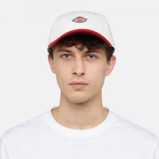Dickies Hardwick 2 Tone Egret Cap
