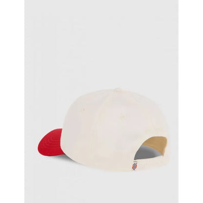 Dickies Hardwick 2 Tone Egret Cap