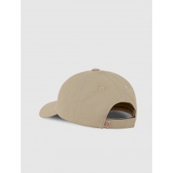 Boné Dickies Hardwick Kids - Desert