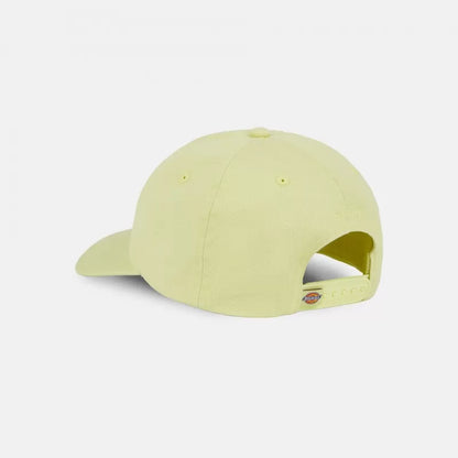 Dickies Hardwick Pale Green Cap