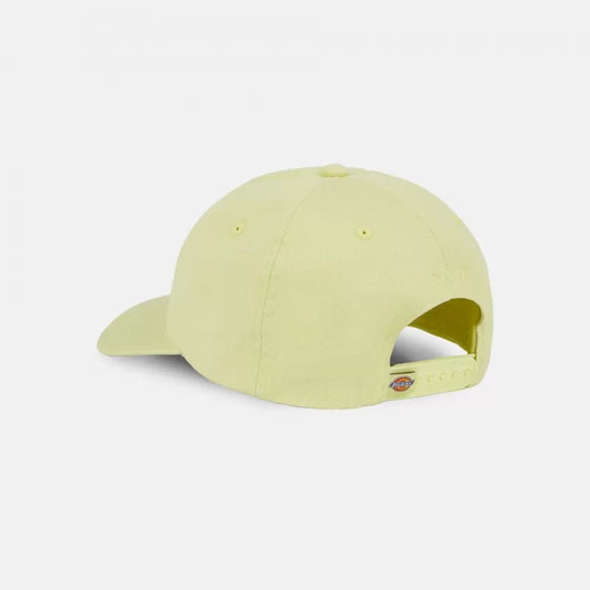 Dickies Hardwick Pale Green Cap