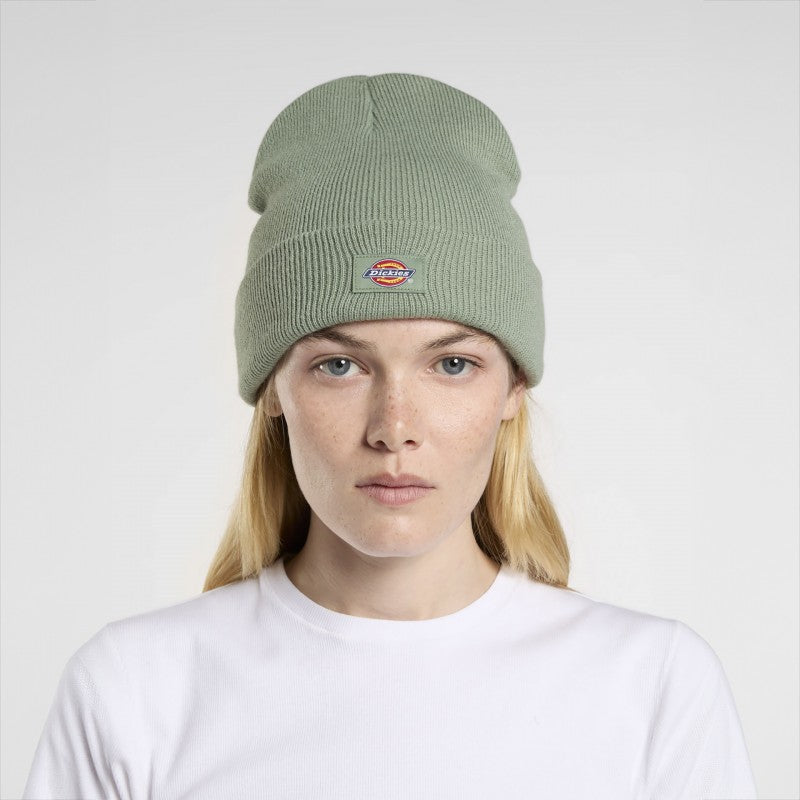 Dickies Gibsland Beanie - Sea