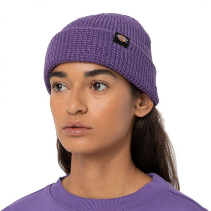 Dickies Woodworth Waffle beanie in navy | ASOS Dickies Woodworth Waffle beanie in navy | ASOS