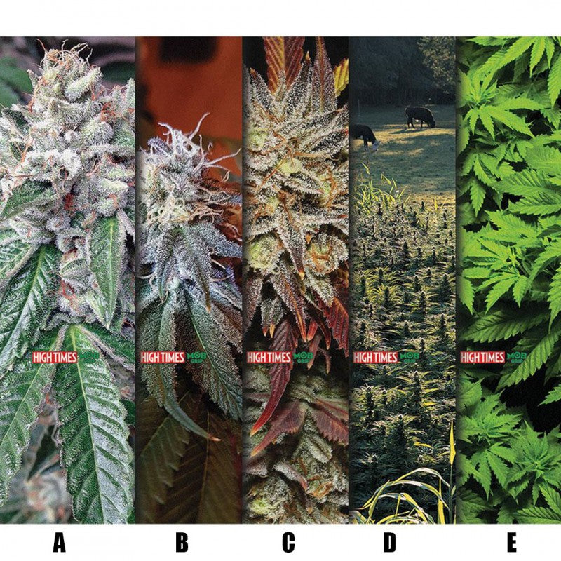 Mob Grip High Times Magazine Weed Griptape - 9"