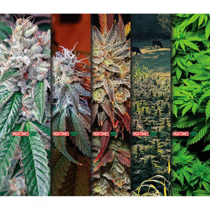 Mob Grip High Times Magazine Weed Griptape - 9"