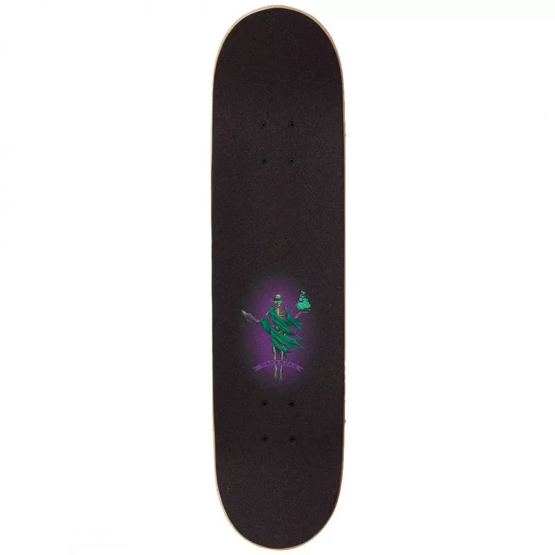 Darkstar Magic Premium Complete Skateboard 7.875"