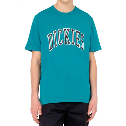 Dickies Aitkin T-Shirt - Blue