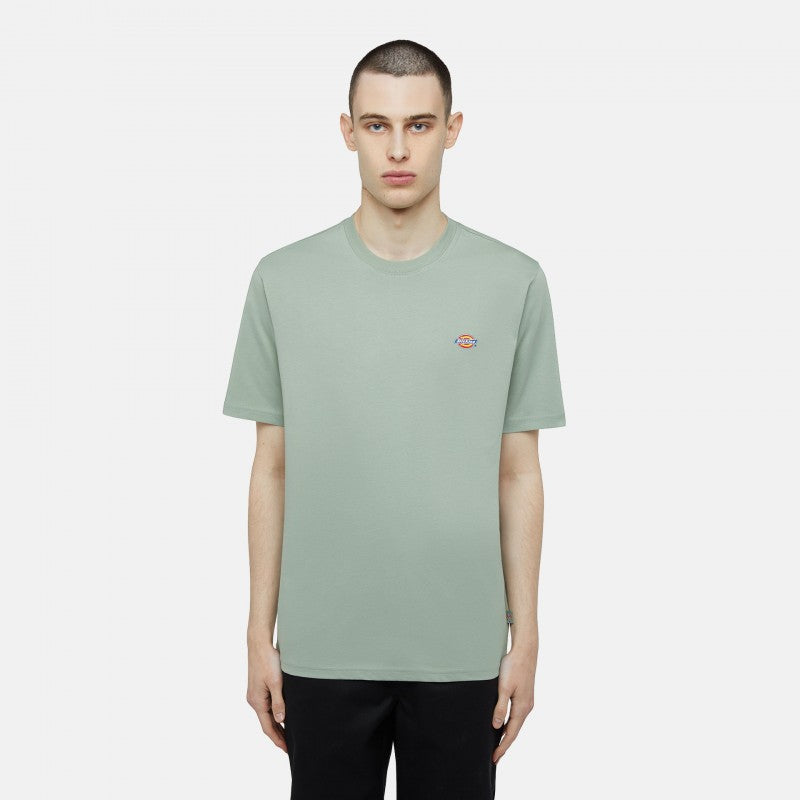 T-Shirt Dickies Mapleton - Iceberg Green