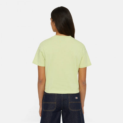 Dickies Oakport Boxy W T-shirt - Pale Green