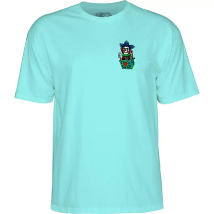 Powell Peralta Chris Hiett Skull T-Shirt - Celadon