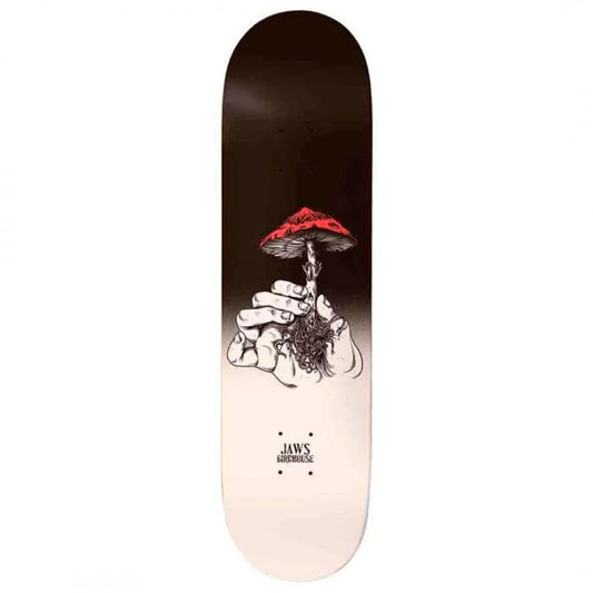 Birdhouse Aaron Jaws Homoki Mushroom Skateboard Deck 8.25"