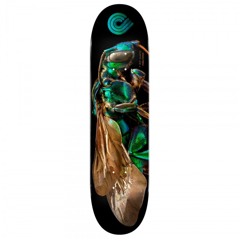 Powell Peralta BISS Cuckoo Bee Skateboard Deck 8.0"