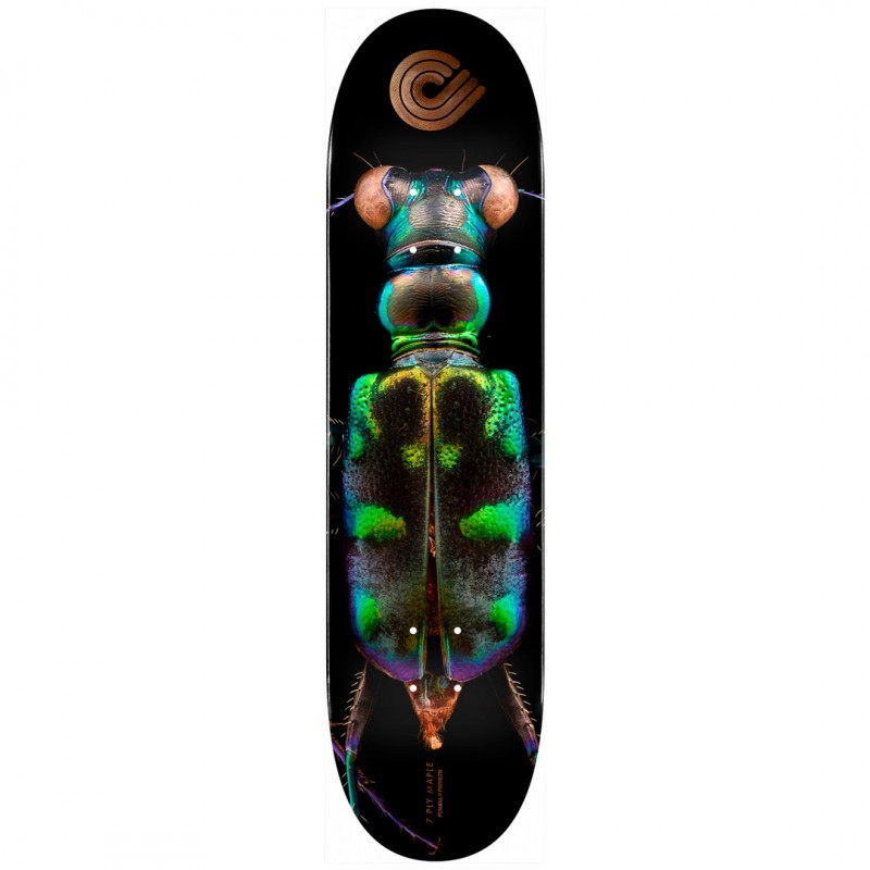 Powell Peralta BISS Tiger Beetle Skateboard Deck 8.25"