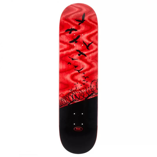 Real Set Free Specrum Red Skateboard Deck 8.06 "